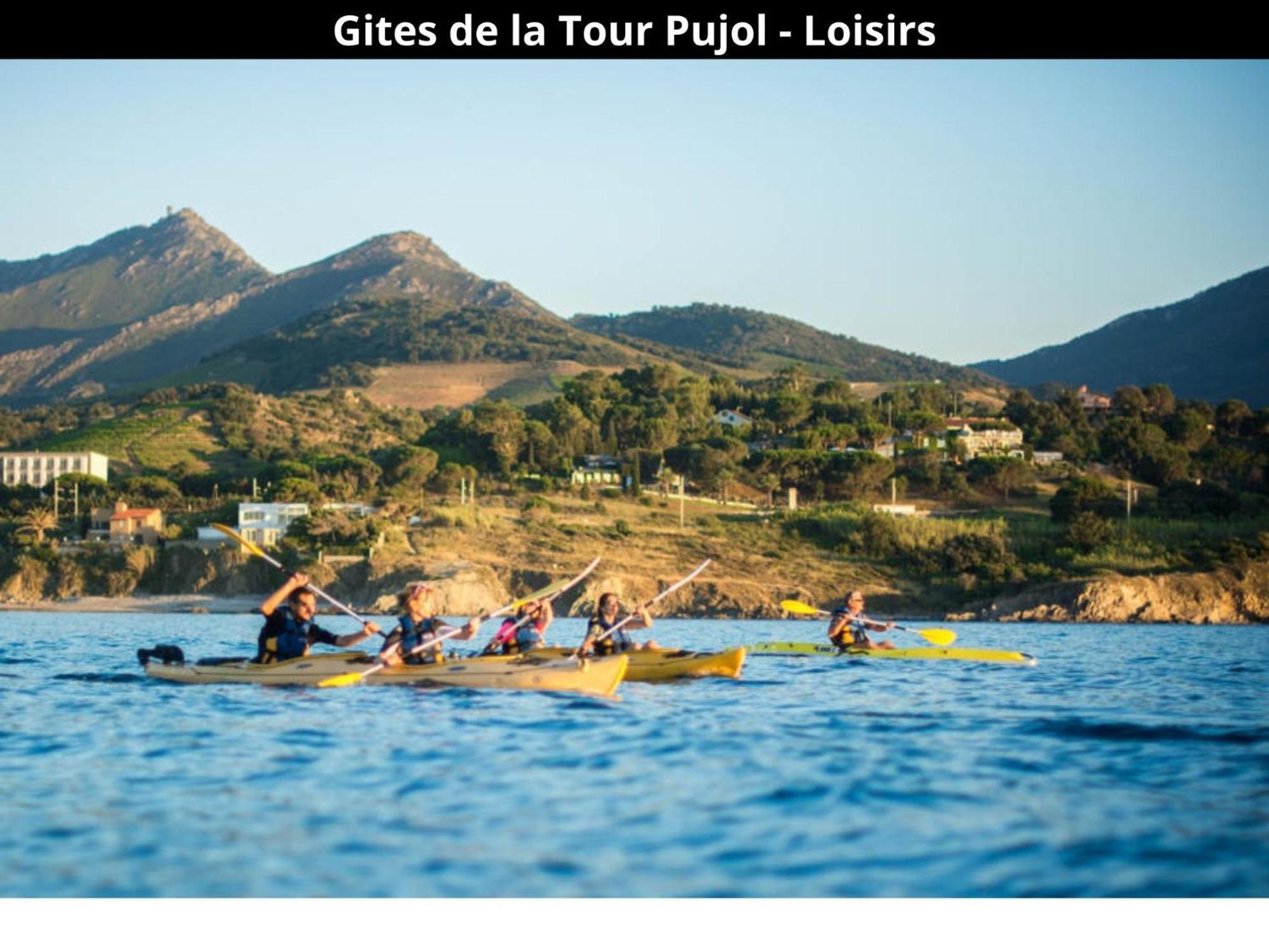 Les Gites De La Tour Pujol Argeles-sur-Mer Exterior photo